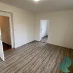 Rent 3 bedroom apartment of 51 m² in České Budějovice