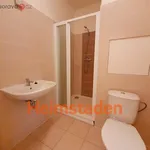 Rent 1 bedroom apartment of 30 m² in Karviná