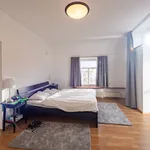 Pronajměte si 6 ložnic/e byt o rozloze 250 m² v Prague