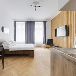 Rent 1 bedroom apartment of 40 m² in Prague