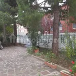 Rent 3 bedroom apartment of 57 m² in Bologna