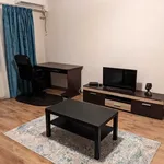 Rent 1 bedroom apartment of 42 m² in Bucharest