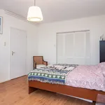 Rent 3 bedroom apartment of 140 m² in Rotterdam