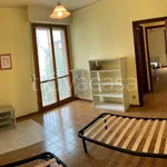 Rent 4 bedroom apartment of 110 m² in Pisa