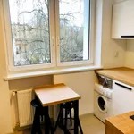 Rent 3 bedroom apartment of 60 m² in Poznan