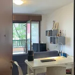 Rent 2 bedroom apartment of 58 m² in Milano