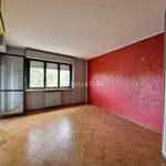 Rent 5 bedroom apartment of 100 m² in Torino