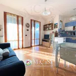 Rent 3 bedroom apartment of 65 m² in Pisa