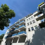 Rent 2 bedroom apartment of 48 m² in Chemnitz