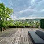 Rent 4 bedroom apartment of 170 m² in Budapest