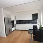 Rent 3 bedroom apartment of 80 m² in Padova