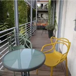 Rent 1 bedroom apartment of 42 m² in Dresden