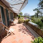 Single family villa, excellent condition, 200 m², Punta Ala, Castiglione della Pescaia