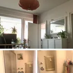 Rent 2 bedroom house of 27 m² in Cologne