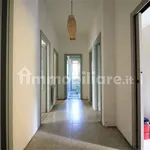 Rent 3 bedroom apartment of 80 m² in Catania