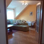 Rent 5 bedroom apartment of 1072 m² in Prague