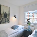 Rent 3 bedroom apartment of 70 m² in Wuppertal