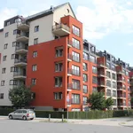 Apartments To Let 2 bedrooms apartment for rent