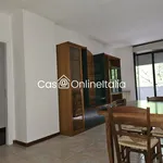 Rent 3 bedroom apartment of 63 m² in Perugia