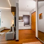 Rent 2 bedroom apartment of 135 m² in Prague