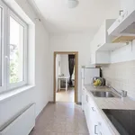 Rent 1 bedroom apartment of 50 m² in Capital City of Prague