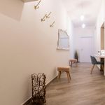 Rent 1 bedroom apartment in Bologna