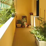 Rent 2 bedroom apartment of 45 m² in Senigallia