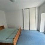 Rent 1 bedroom apartment of 36 m² in Saint-Laurent-du-Pont