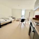 Appartement de 22 m² avec 1 chambre(s) en location à SUR LOT