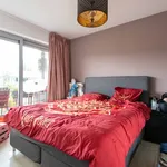 Rent 2 bedroom apartment in Wijnegem