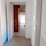 Rent 1 bedroom apartment of 25 m² in Piacenza