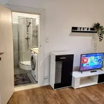 Pronajměte si 1 ložnic/e byt o rozloze 45 m² v prague