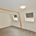 Huur 1 slaapkamer appartement van 120 m² in Hulst