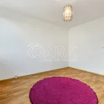 Rent 4 bedroom apartment of 95 m² in Capital City of Prague