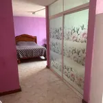 Rent 1 bedroom apartment of 35 m² in Puebla