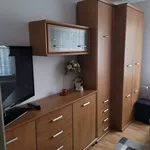 Rent 2 bedroom apartment of 38 m² in Gliwice