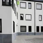 Rent 1 bedroom apartment in Tournai