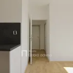 Rent 3 bedroom apartment of 65 m² in Prague