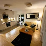 Rent 1 bedroom apartment of 43 m² in Heidelberg