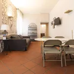 Rent 1 bedroom apartment of 53 m² in bologna