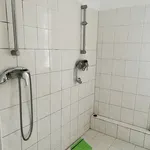 Rent 1 bedroom apartment in České Budějovice