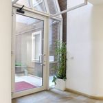 Rent 2 bedroom apartment of 55 m² in Turin