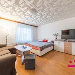 Rent 2 bedroom apartment in Zlín