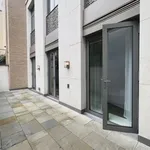 Rent 1 bedroom apartment in London