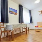 Rent 1 bedroom apartment of 30 m² in Prague