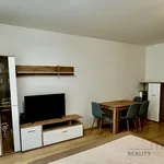 Rent 1 bedroom apartment of 33 m² in Capital City of Prague