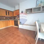 Rent 2 bedroom apartment of 57 m² in Trieste