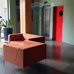 Rent 3 bedroom apartment of 60 m² in Poznan