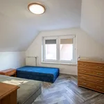 Rent 2 bedroom house of 80 m² in Wrocław