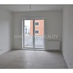 Rent 1 bedroom apartment of 26 m² in České Budějovice